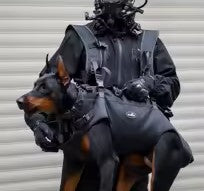 Harnais de levage pour chien sauvetage