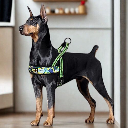 Harnais chien|DouHarnais™ - MyDoggy - Shop