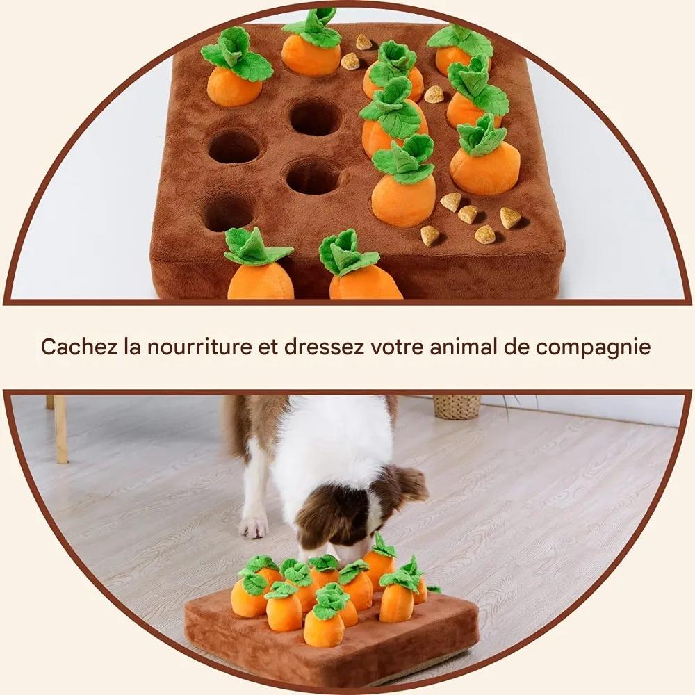 Jouet pour chien | Robuste Interactif