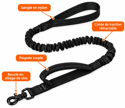 Laisse pour chien Mains Libres | Laisse-ceinture-sac