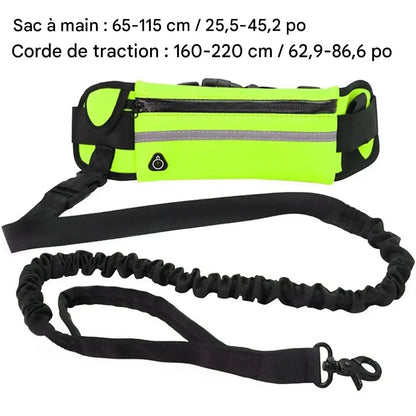Laisse pour chien mains libre avec ceinture et poche dimensions