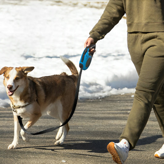 Laisse pour chien|ConfortLaisse™