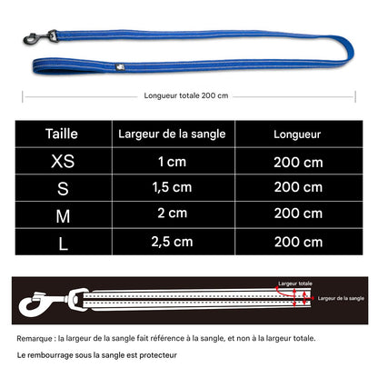 laisse pour chien tailles