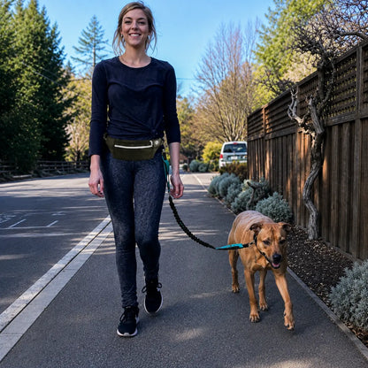 Laisse pour chien mains libre avec ceinture, poche et porte bouteille