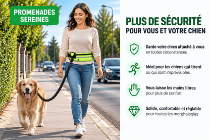 Laisse pour chien mains libre avec ceinture et poche pour plus de sécurité