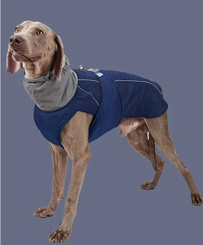 Manteau pour chien | BigPawGuard™ - MyDoggy - Shop