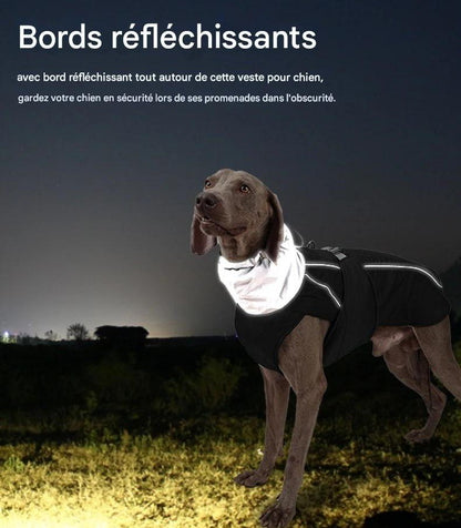 Manteau pour chien | BigPawGuard™ - MyDoggy - Shop
