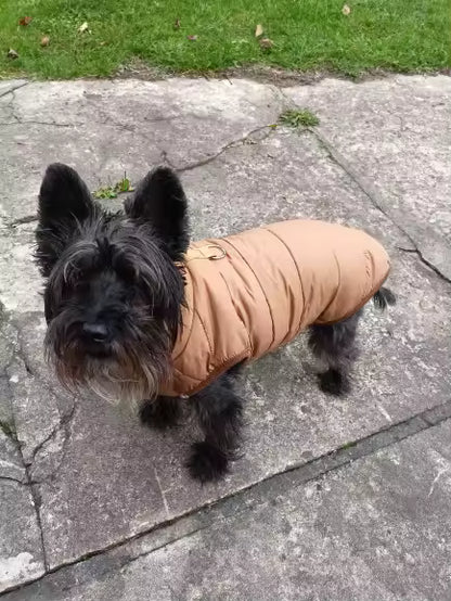 Manteau pour Chien marron café