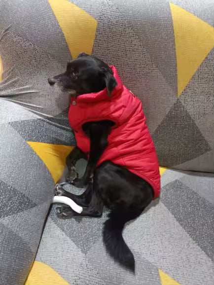Manteau pour Chien rouge