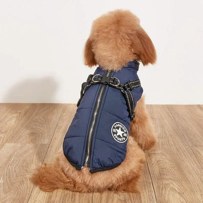 Manteau pour chien | SmallDogy™ - MyDoggy - Shop