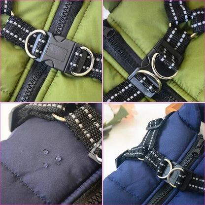 Manteau pour chien | SmallDogy™ - MyDoggy - Shop