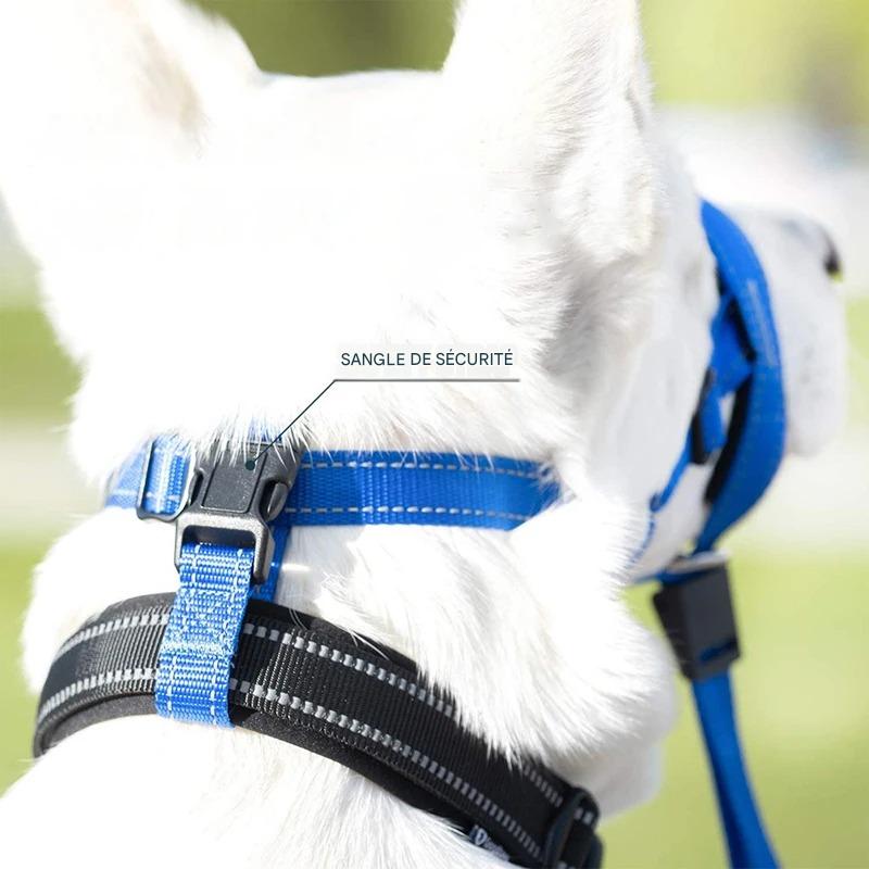 muselière chien  EasyControl™
