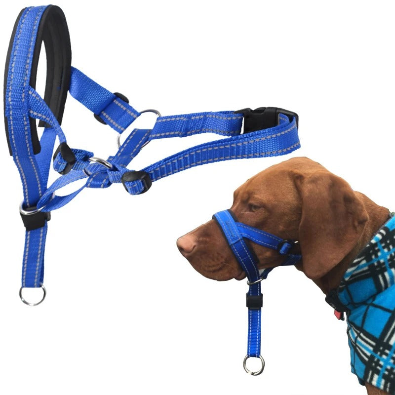 muselière chien  EasyControl™
