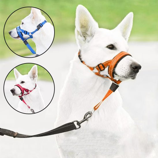 muselière chien | EasyControl™ - MyDoggy - Shop