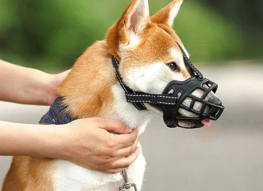 Muselière | Silicone Souple - MyDoggy - Shop