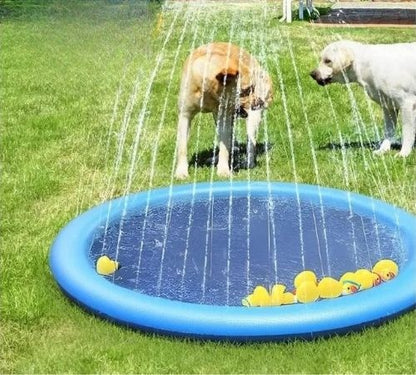 Piscine pour chien jouer dans l'eau