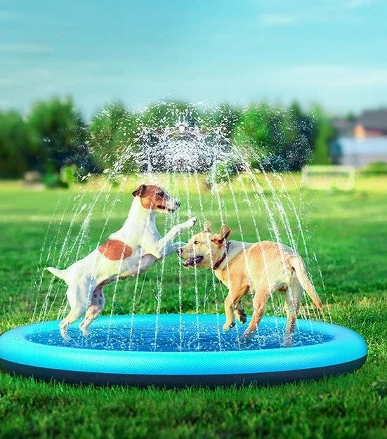 Piscine pour chiens