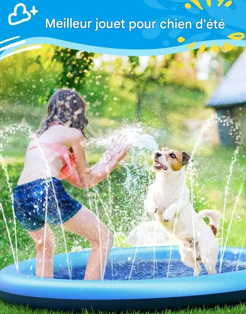 Piscine pour chien contre canicules