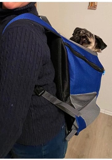 Sac a dos pour chien bleu
