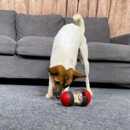 Chien interactif | Doggy Miam™
