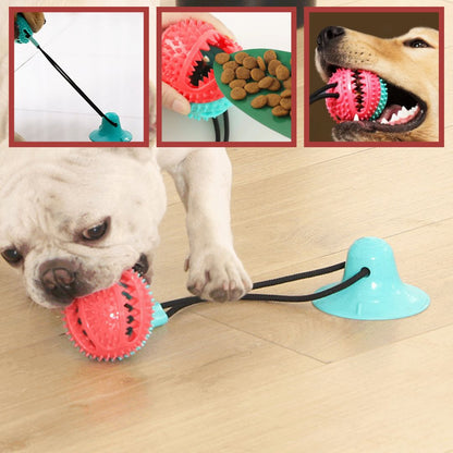 Jouet pour chien | Ultra-Resistant Toy