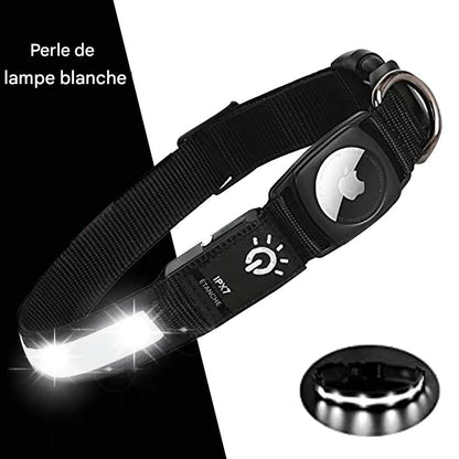 Collier lumineux chien|NoctiTrace™