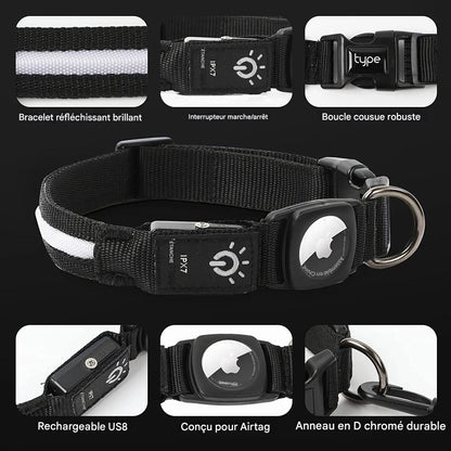 Collier lumineux chien|NoctiTrace™