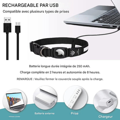 Collier lumineux chien|NoctiTrace™