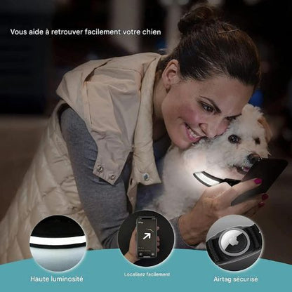Collier lumineux chien|NoctiTrace™