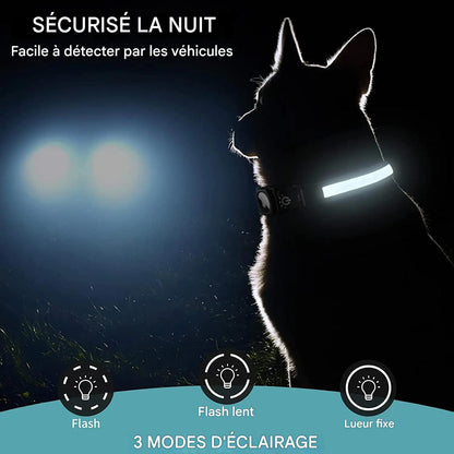 Collier lumineux chien|NoctiTrace™