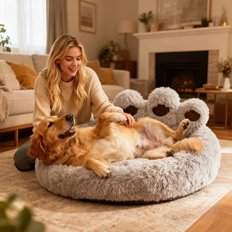 Femme et son chien dans un salon — coussin Donut café, ambiance cocooning