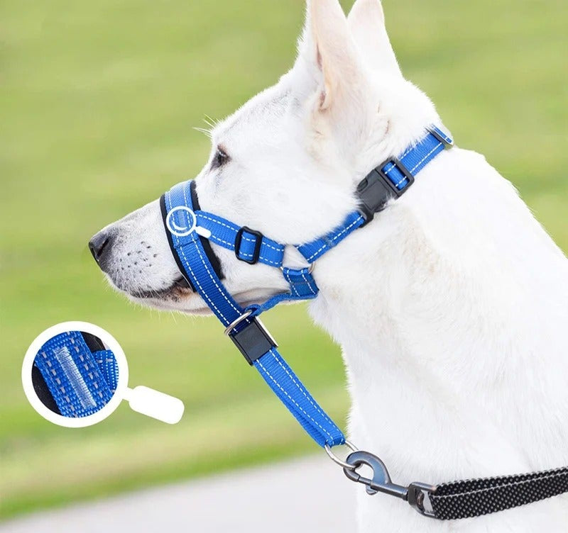 muselière chien  EasyControl™