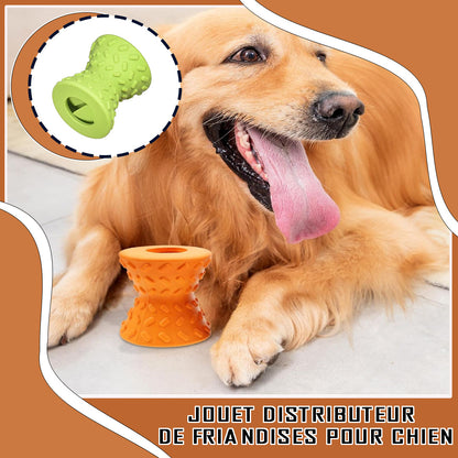 distributeur de croquettes pour chien