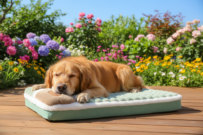 Grand Labrador sur coussin extra large terrasse ensoleillée - Taille généreuse pour grands chiens
