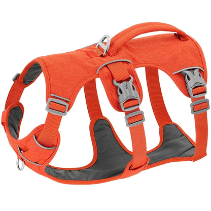 Harnais chien orange réfléchissant - Harnais pour chien anti-traction sécurisé
