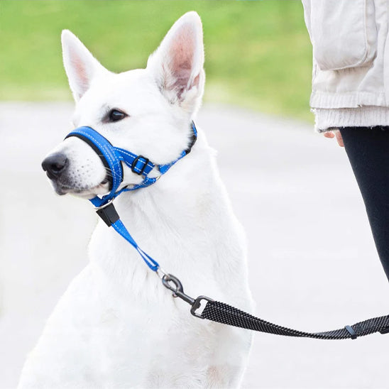 muselière chien  EasyControl™