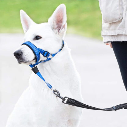 muselière chien  EasyControl™