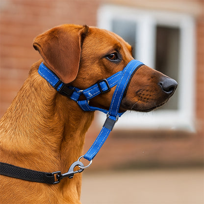 muselière chien  EasyControl™