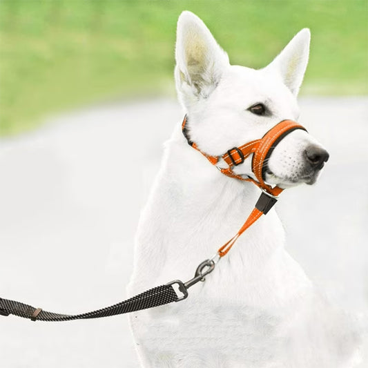 muselière chien  EasyControl™