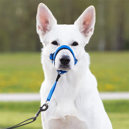 muselière chien  EasyControl™