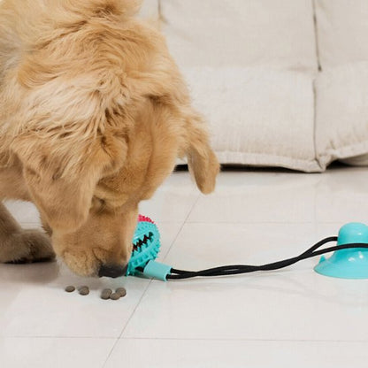 Jouet pour chien avec ventouse et balle à mâcher en caoutchouc résistant