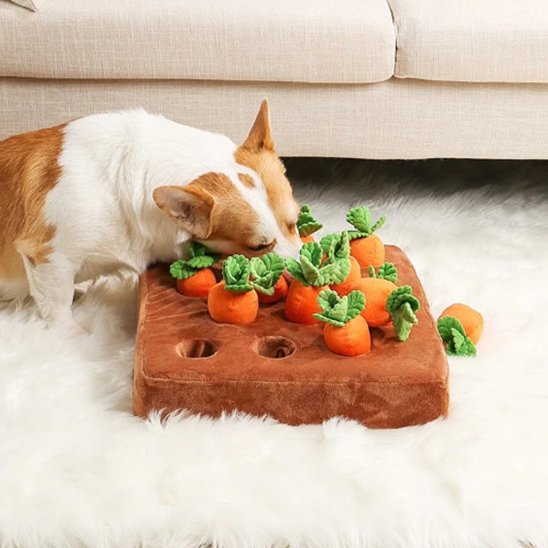 Jouet pour chien éveil