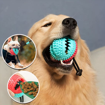 Jouet pour chien résistant à mâcher, idéal pour l’hygiène dentaire et le jeu