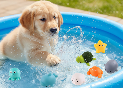 Jouet d'eau pour chien LED flottant AquaPlay set 4 pièces