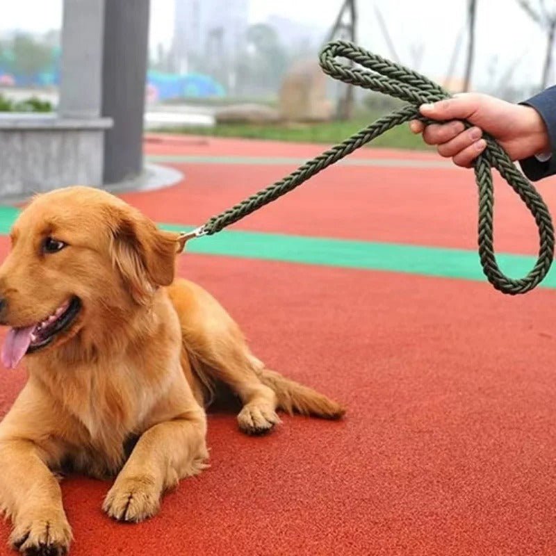 Laisse pour chien | ComfortGuide™ - MyDoggy - Shop