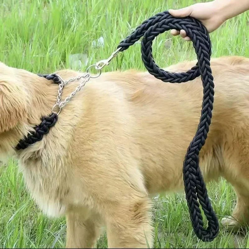 Laisse pour chien | ComfortGuide™ - MyDoggy - Shop
