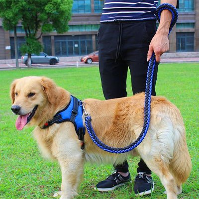 Laisse pour chien | ComfortGuide™ - MyDoggy - Shop