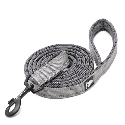 laisse pour chien gris