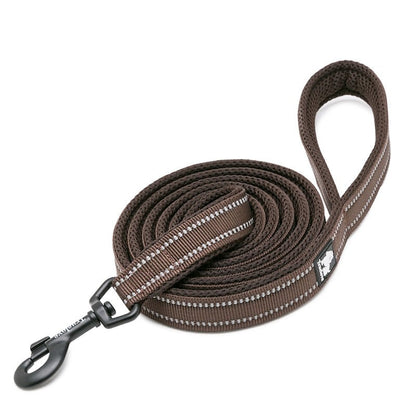 laisse pour chien marron