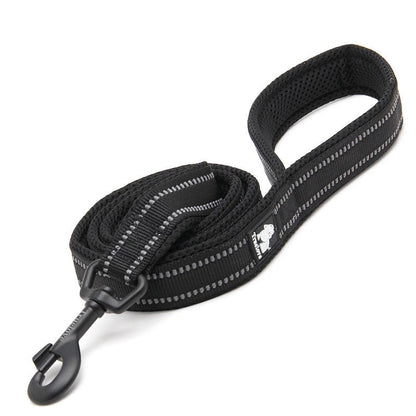 laisse pour chien noire